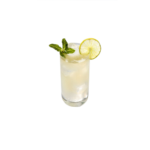 Mojito plain